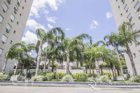 Image 35 - 264681